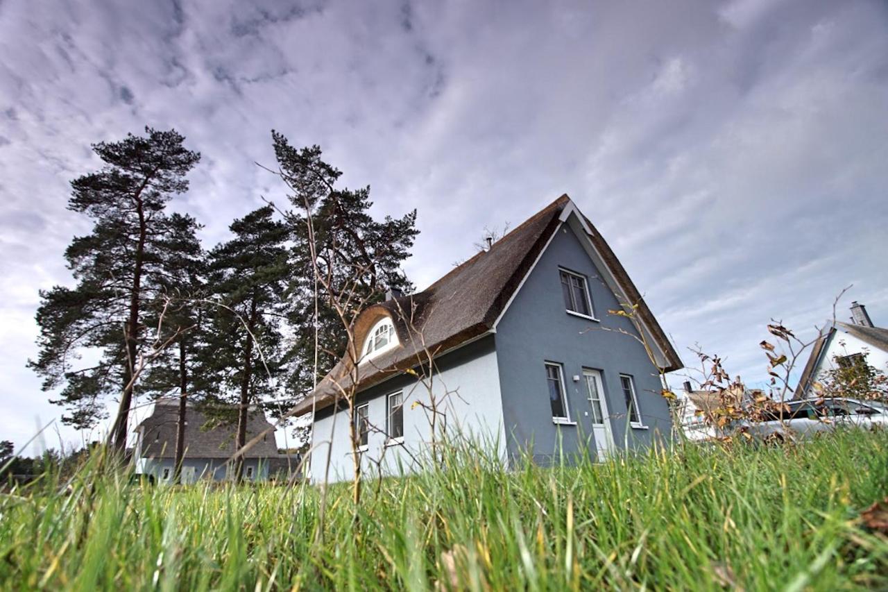Haus Unter Den Drei Baeumen - Urlaub Auf Der Sonneninsel Usedom Appartement Zirchow
