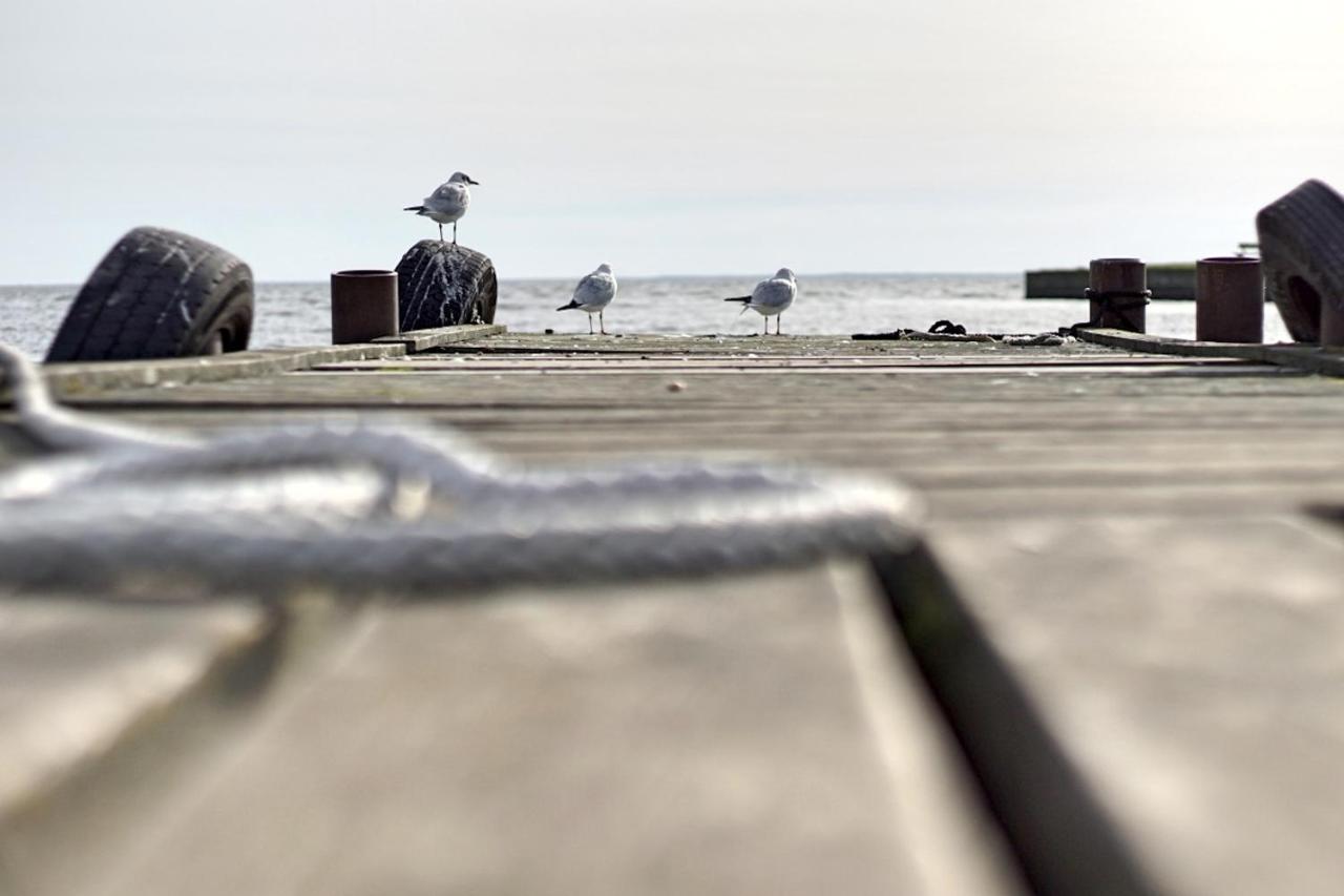 Appartamento Haus Unter Den Drei Baeumen - Urlaub Auf Der Sonneninsel Usedom *